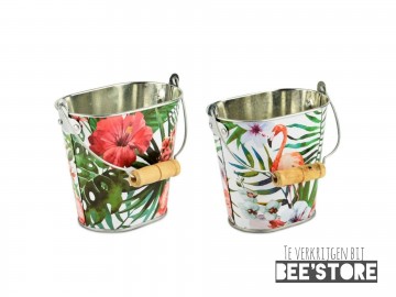 Photocollage202102161732014811