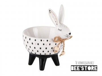 Photocollage202102161738434361