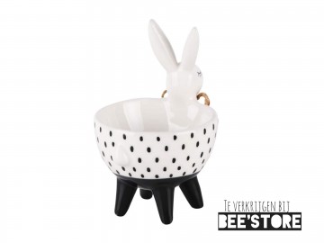 Photocollage202102161739202961